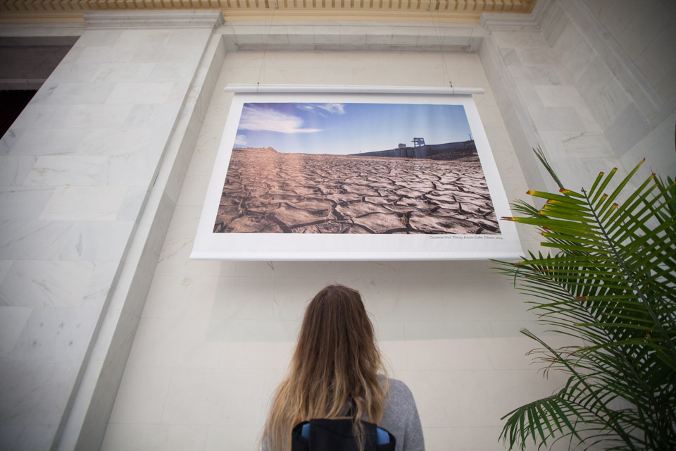 Charlotte Niel's landscapes are shown in City Hall’s North Light Court.