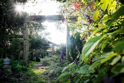 Zen Garden Entrance in the Ornamental Horticulture garden at CCSF on Wednesday 23, 2016. Photo by Gabriela Reni/ The Guardsman.