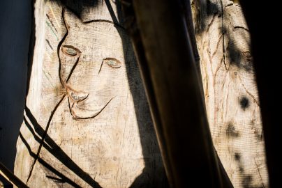 Wood carved drawings at the Zen Garden in the Ornamental Horticulture garden at CCSF on Wednesday 23, 2016. Photo by Gabriela Reni/ The Guardsman.