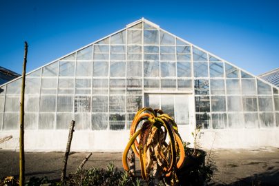 Green House in the Ornamental Horticulture garden at CCSF on Wednesday 23, 2016. Photo by Gabriela Reni/ The Guardsman.